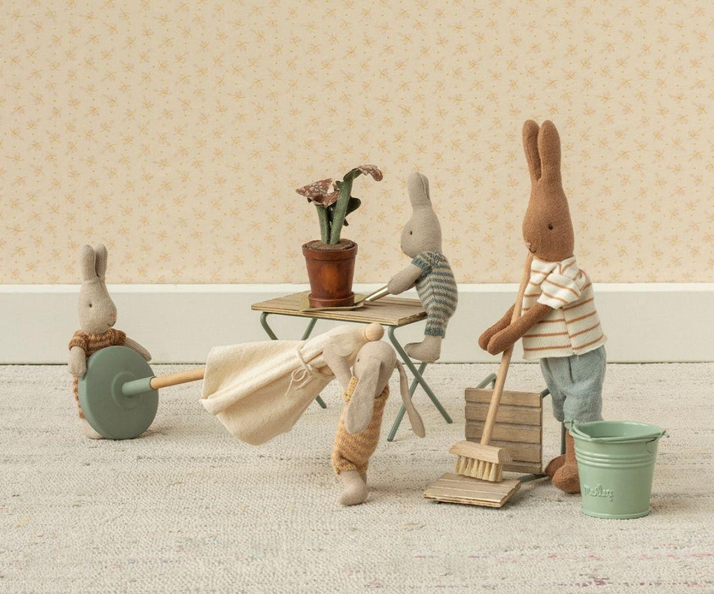 Vaso di fiori con pianta