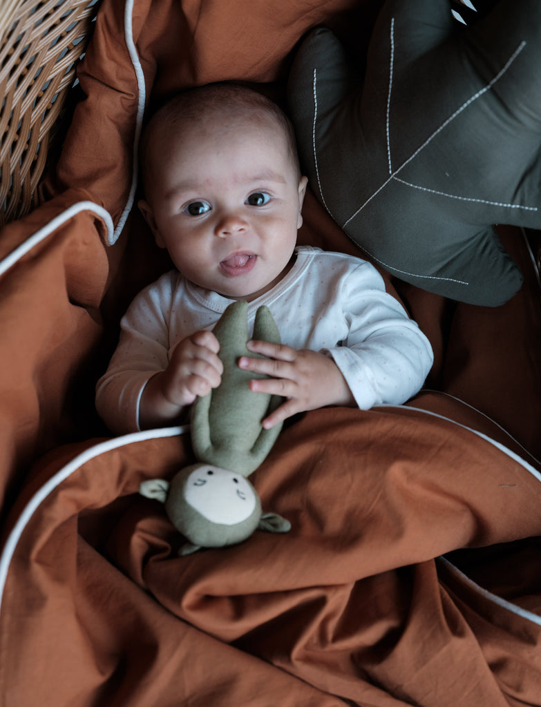 Peluche verde oliva a forma di draghetto addormentato in una cesta nelle mani di un neonato  e coperte di  un neonato