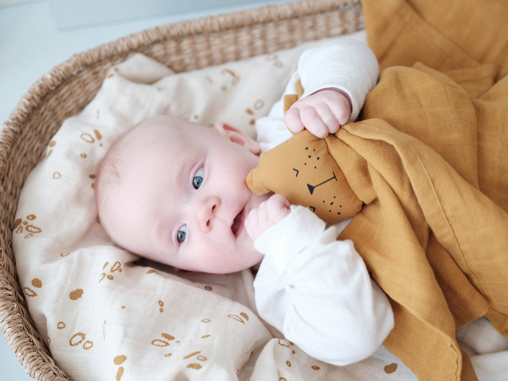 Neonato in cesto culla con sopra la copertina/swaddle ocra